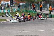 20110501_ales_agnus (2455)